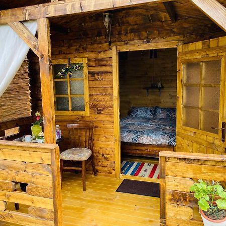 Camping In Clisura Dunarii Eselnita Exterior photo